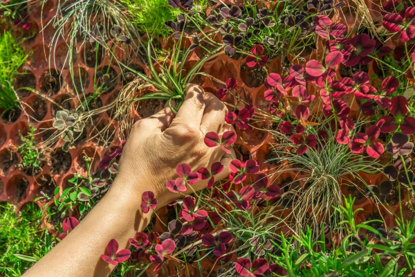 Como Integrar um Jardim Vertical no Seu Apartamento sem Perder Espaço