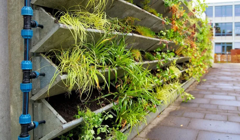 Como Escolher o Melhor Sistema de Irrigação para Seu Jardim Vertical