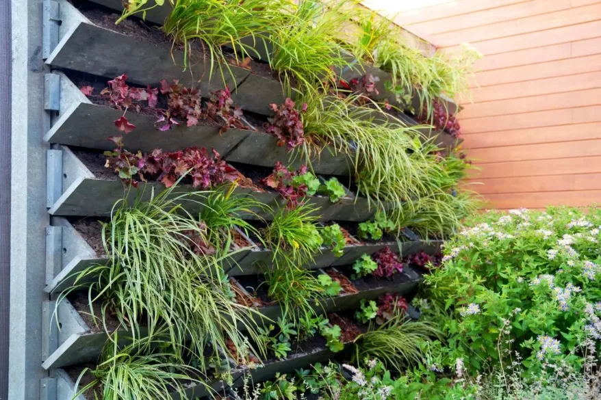 As Melhores Plantas para Criar um Jardim Vertical em Ambientes Pequenos