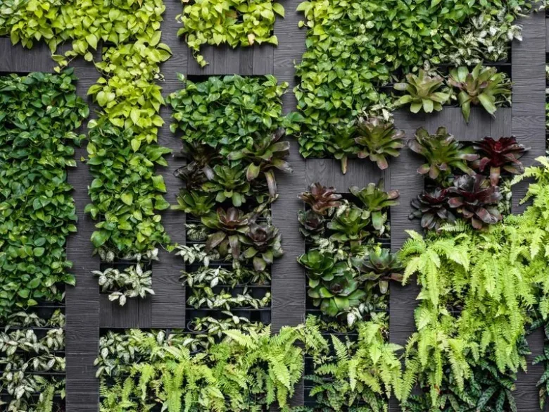 Jardins Verticais de Ervas: As Melhores Opções para Apartamentos Pequenos
